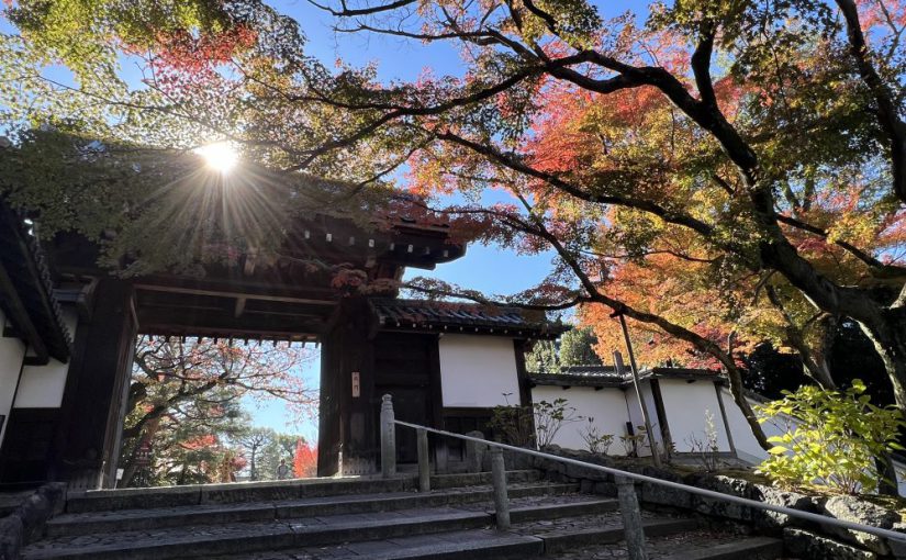 奈良正倉院展と京都知恩院の紅葉